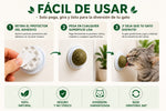 Catnip Premium para Gatos