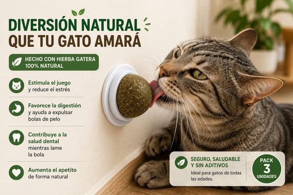 Catnip Premium para Gatos