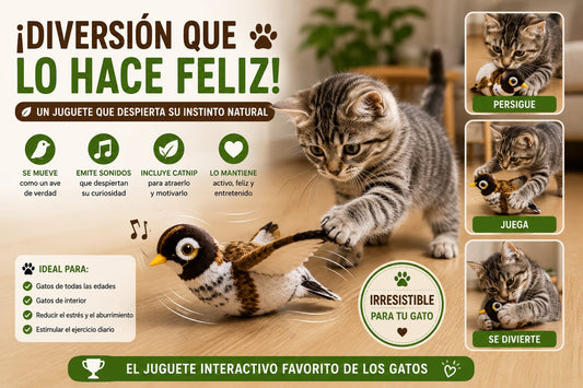 Pájaro Interactivo para Gatos