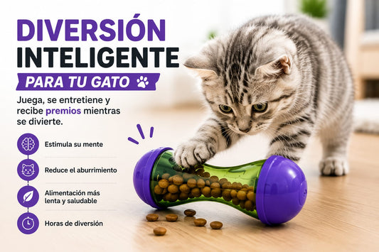 Juguete Dispensador de Premios para Gatos